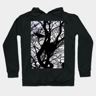 CROWS NEST SILHOUETTE Hoodie